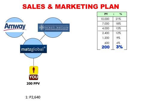plan marketing amway
